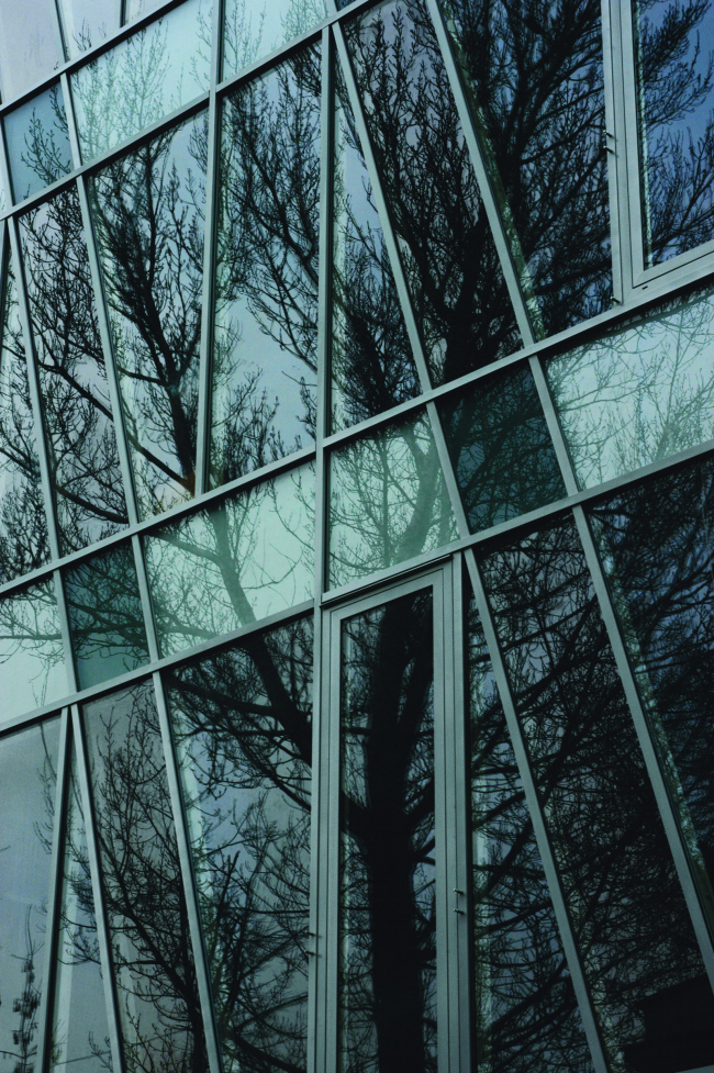 ����� �������� ����������� ��� � �� ���������