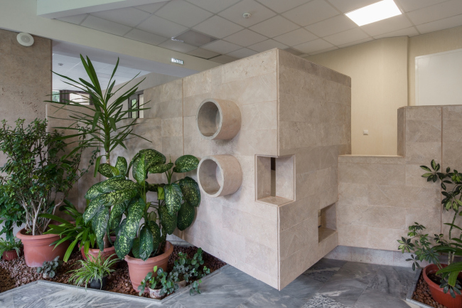 ��������� ���������. ���������� � ����� ������