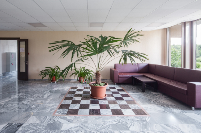 ��������� ���������. ���������� � ����� ������