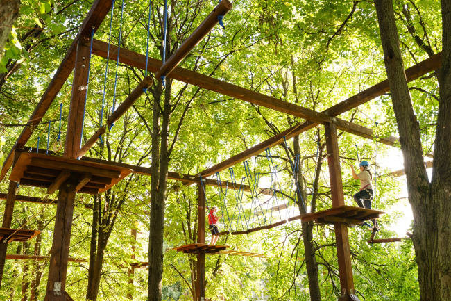 ���������� ������������� ��������� ������������