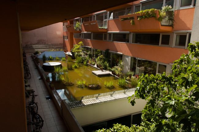 ���������� � Wolfgang Zeiner