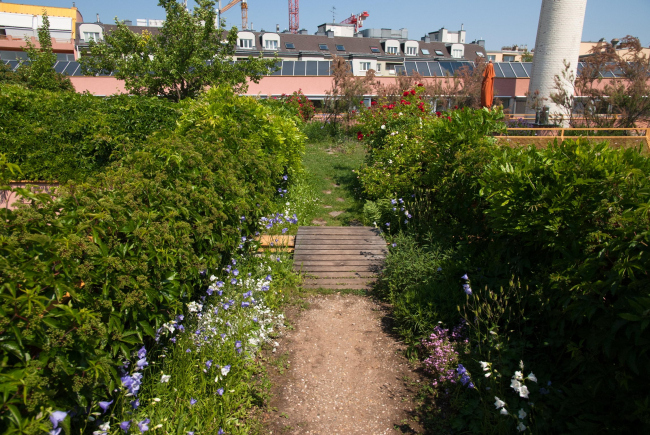 ���������� � Wolfgang Zeiner