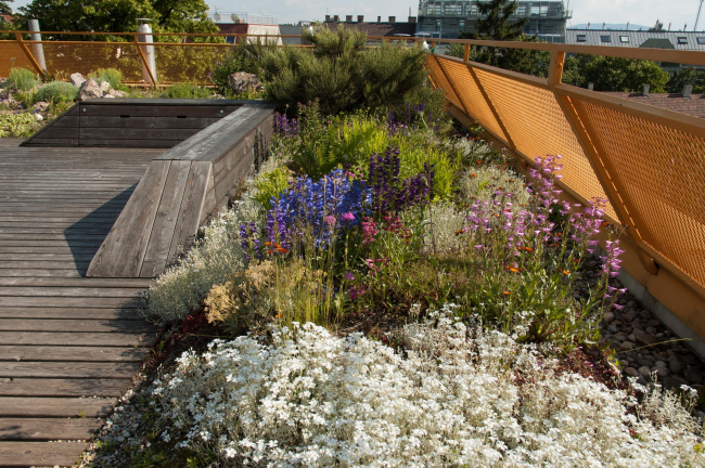 ���������� � Wolfgang Zeiner