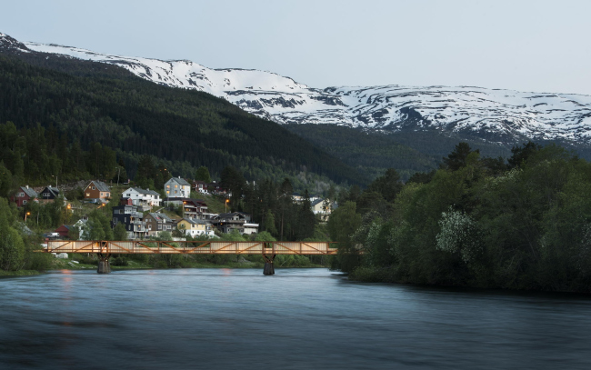 ���� ������ � Dag Jenssen