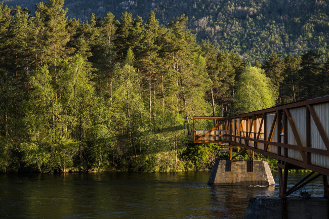 ���� ������ � Dag Jenssen