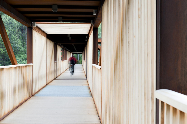 ���� ������ � Dag Jenssen