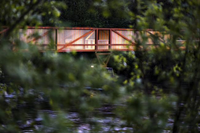 ���� ������ � Dag Jenssen