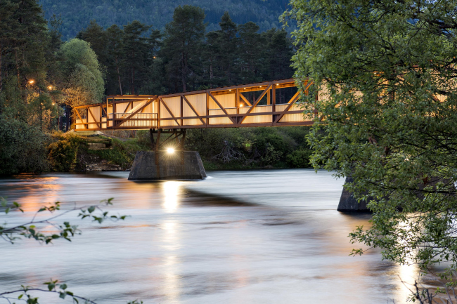 ���� ������ � Dag Jenssen