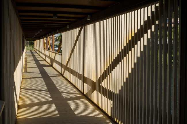 ���� ������ � Dag Jenssen