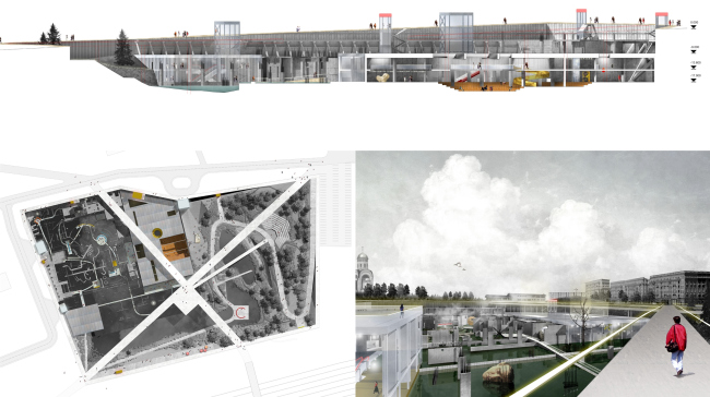 ��������� ����. ���������� ���������, ����������� �� �����������. ��������� �������, �����, ������ ���� ���������