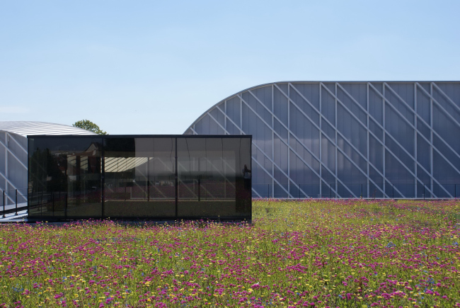 �������� ������ �����-����� � Sergio Grazia