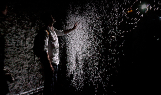 XYZT, ����������� �������. �������� �� �������� B.E.R.E.G. � ������ ��������� TERRITORI�. ������������� ����� ��������