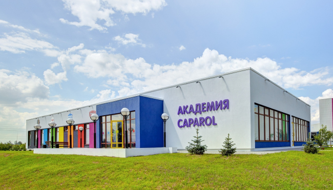 �������� �������� CAPAROL. ���� ������������� ��������� DAW SE