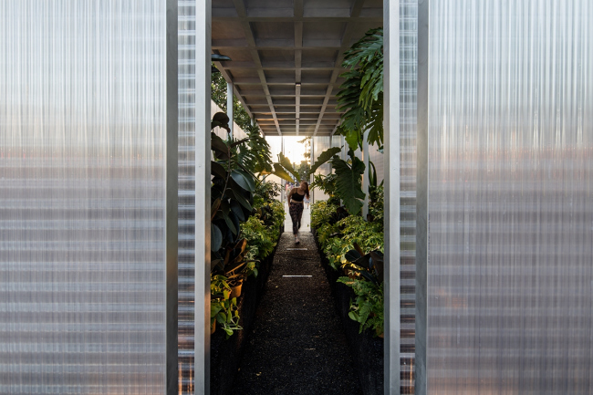 ����������� ����� ���� MINI LIVING � Forests. ���������� ������������� BMW Group