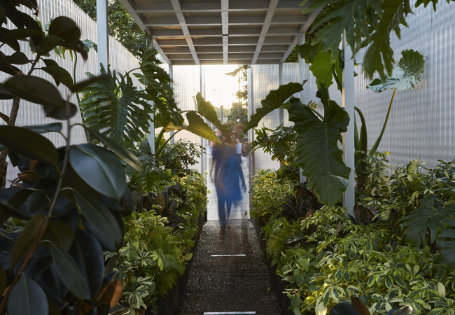    MINI LIVING  Forests.   BMW Group