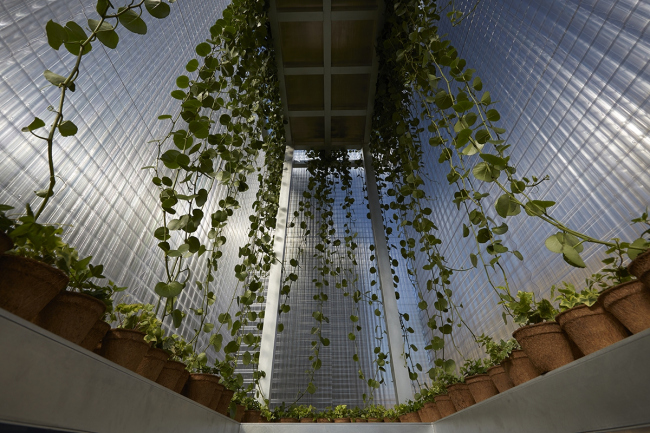 ����������� ����� ���� MINI LIVING � Forests. ���������� ������������� BMW Group