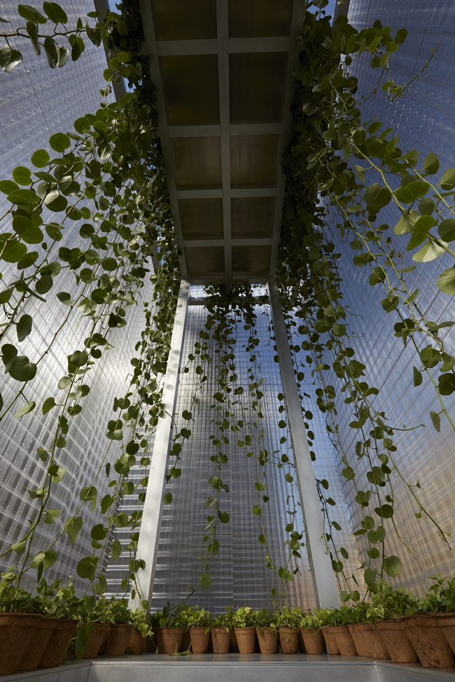 ����������� ����� ���� MINI LIVING � Forests. ���������� ������������� BMW Group