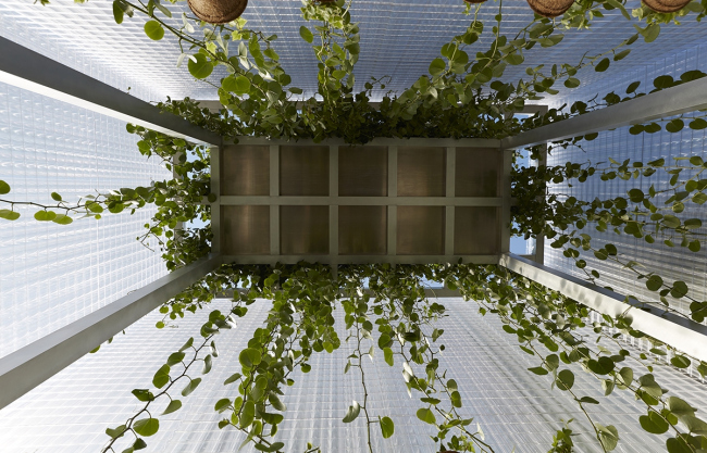 ����������� ����� ���� MINI LIVING � Forests. ���������� ������������� BMW Group