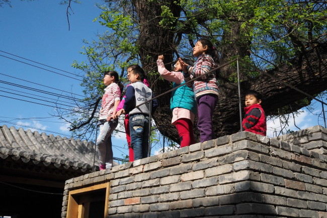 ������� ���������� � ����� �������� ������ �����. ����: AKTC / Zhang MingMing, ZAO, standardarchitecture