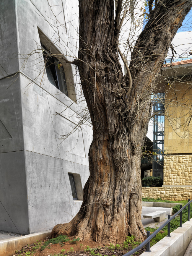 �������� ������ ������. ����: Aga Khan Trust for Culture / Cemal Emden