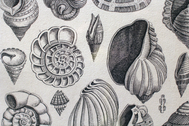 �������� ���������. �� � �����. ������ � ������. XVIII-XXI ���� � ���� ��. �.�. �������, 20.09.16-13.11.16. ������� �� ����� ���������� ������� ���������� ������. ���������� � ���� ����������