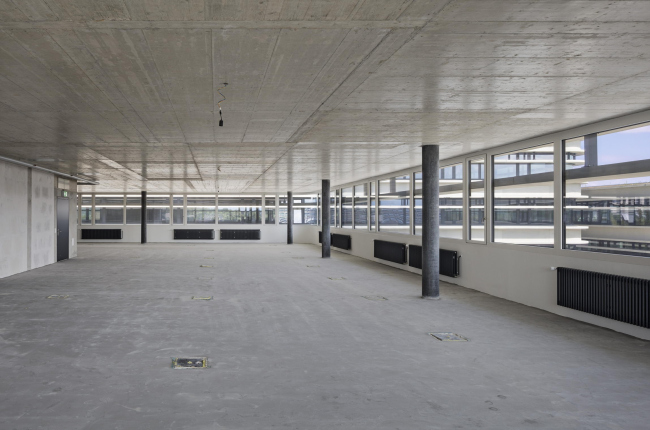 ������� �������� Tic Tric Trac. ����: Arch Photo, Inc. � baumschlager eberle