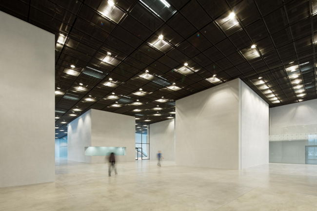 ��������� ������������ ����� � Takuji Shimmura