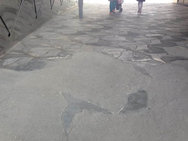 ��������� ����������. ������� 2016. ���� � ������� ������