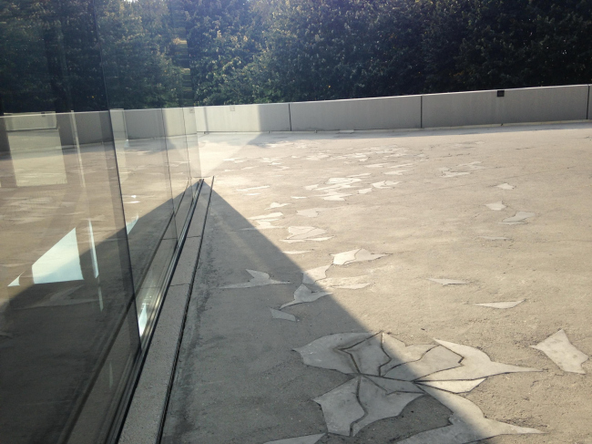 ��������� ����������. ������� 2016. ���� � ������� ������