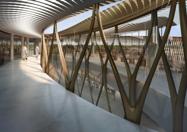 ����� ���������� ��������� ��������� � Zaha Hadid Architects