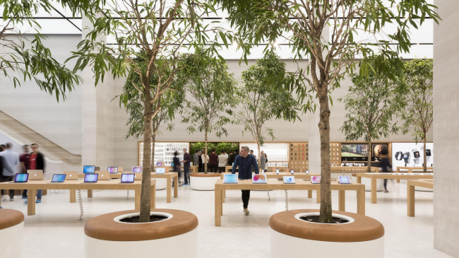  Apple  -  Nigel Young / Foster + Partners