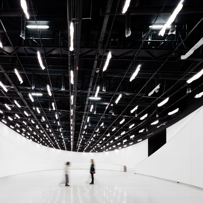 MAAT � ����� ���������, ����������� � ���������� (MAAT) � Fernando Guerra