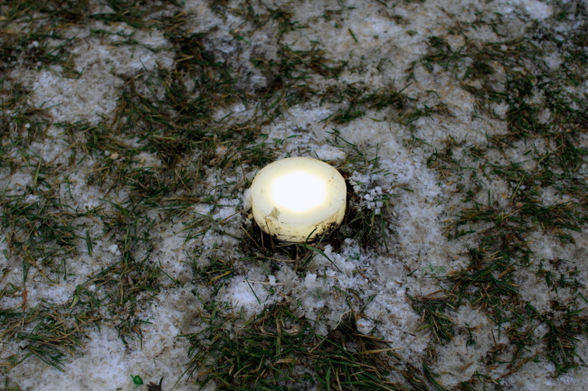 ���������� �������, 11.2016. ���������� � ���� ����������, ����.��