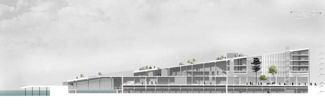 ������� ������ ����� 2016. 
����� ��������. ��������� ������ ������������� ������������������� ����� �������� � �������. �������� �������