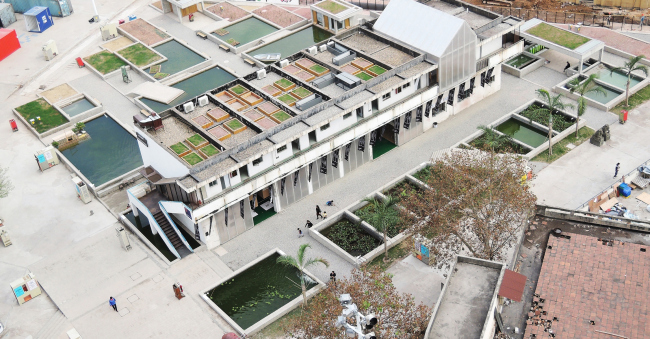 �������� Floating Fields (���������, �����). ����� ����. ����������� ������������� WAF