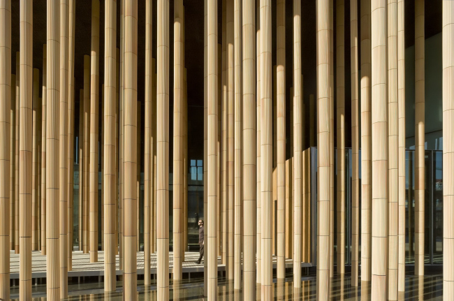 �������� ������� �� ��������� �������� � �������� � 2008 � Pedro Pegenaute