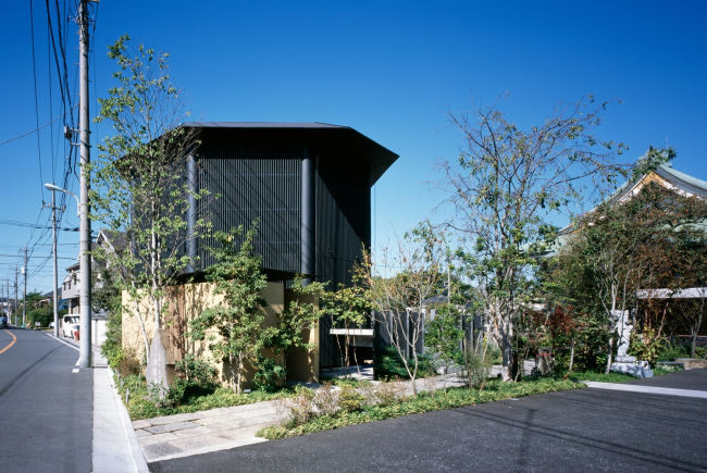 �������-�������� �������� � Masao Nishikawa