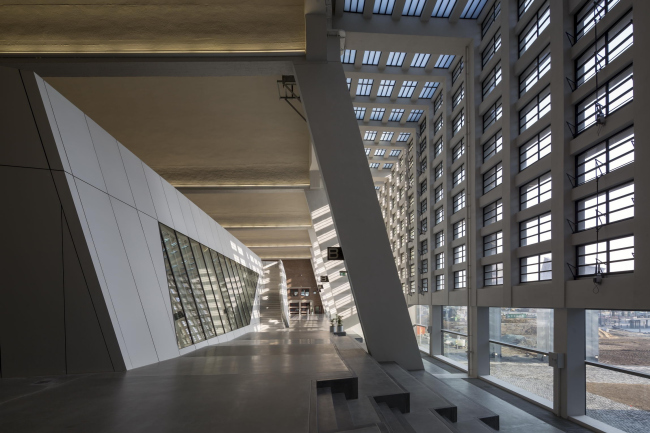 ����������� ����������� ���� � Paul Raftery