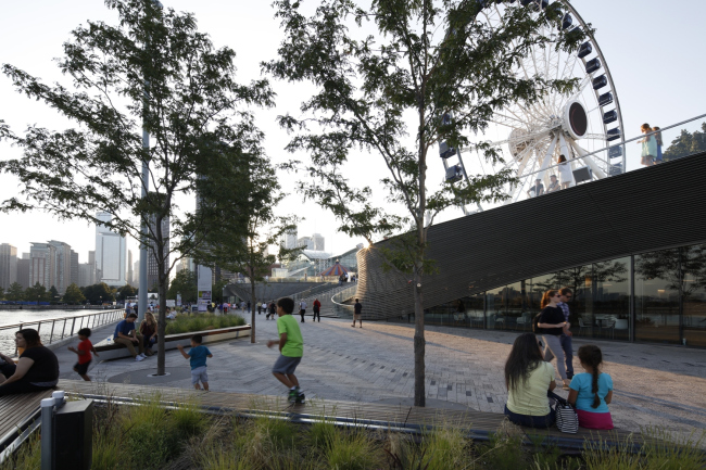 ���� ������-������� ��� ��� � Sahar Coston-Hardy