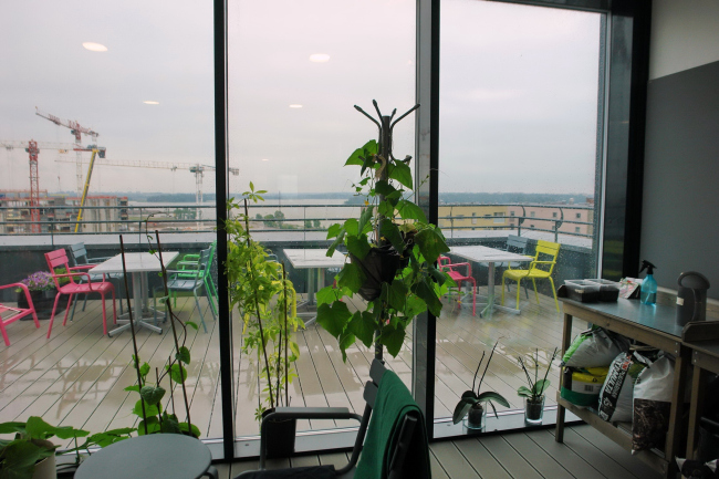 ����� �������� �����������. ������� �������� ����� � ���� �������