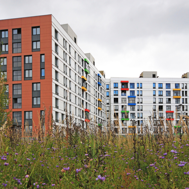 ����� ����� ���������, �.������, ������ �������, 2015, � �������� ������������� � ��� ��