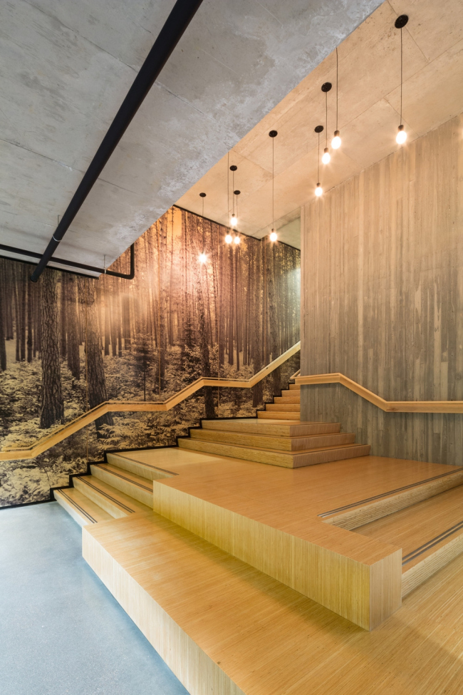 ������� ������ T3 � Ema Peter