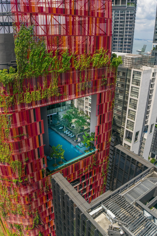 ����� Oasia Hotel Downtown 