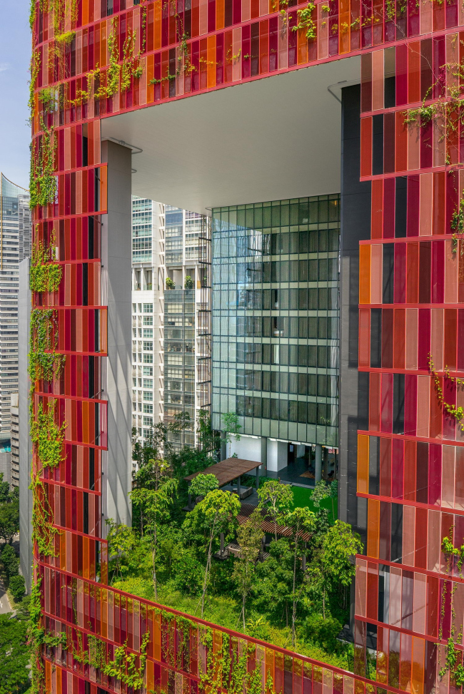 ����� Oasia Hotel Downtown 