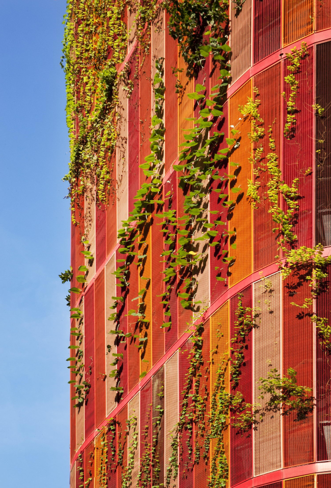 ����� Oasia Hotel Downtown 