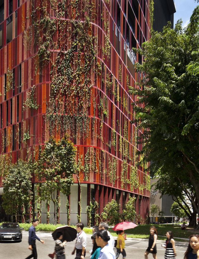 ����� Oasia Hotel Downtown 