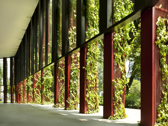 ����� Oasia Hotel Downtown 