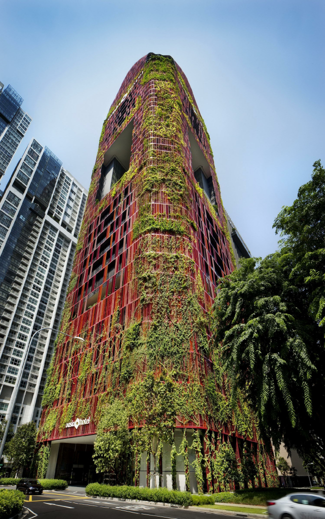 ����� Oasia Hotel Downtown