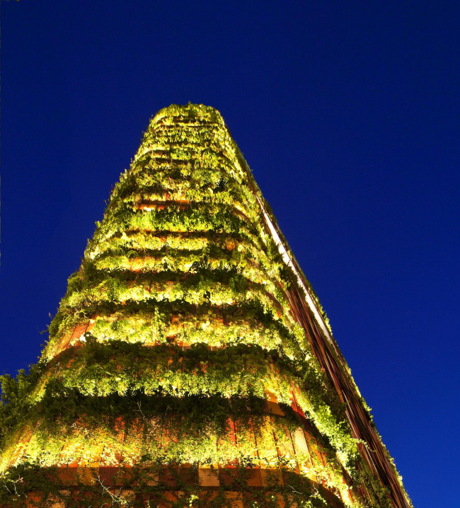 ����� Oasia Hotel Downtown 