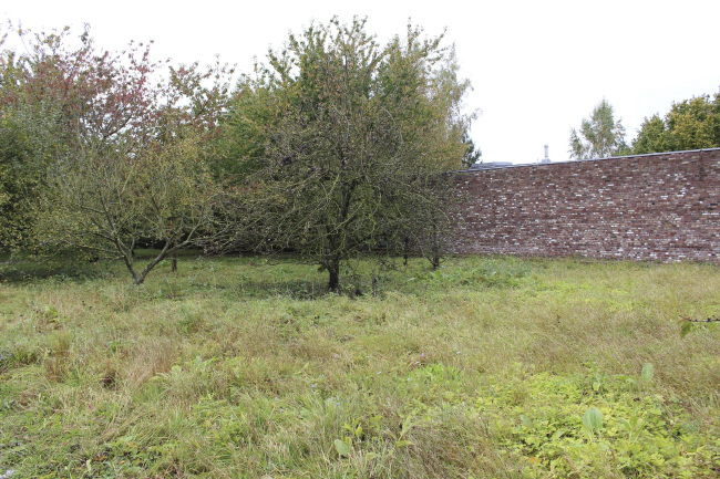 ����� ����������� � ����� ����� ������ �������. ������ ���� � ��������� ���������